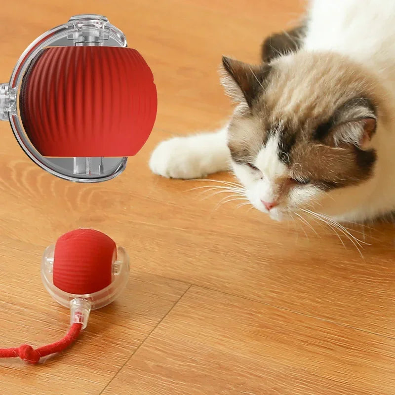 Smart Cat Dog Toys Automatic Rolling Ball with Fake Tail