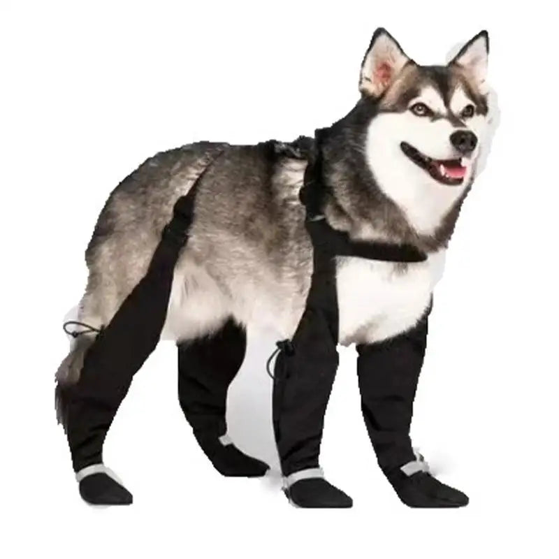 Reflective Dog Boots Shoes for Dogs Non-Slip Pets Paws Protector Adjustable Walking Shoes Suspender Boots Outdoor Pet Sneakers